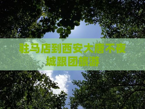 驻马店到西安大唐不夜城跟团旅游