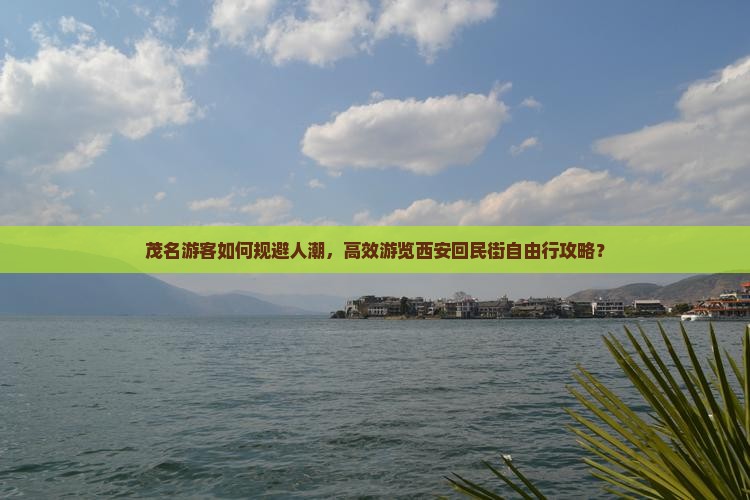 茂名游客如何规避人潮，高效游览西安回民街自由行攻略？