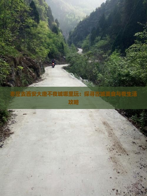 枣庄去西安大唐不夜城哪里玩：探寻古城美食与夜生活攻略