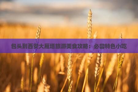 包头到西安大雁塔旅游美食攻略：必尝特色小吃