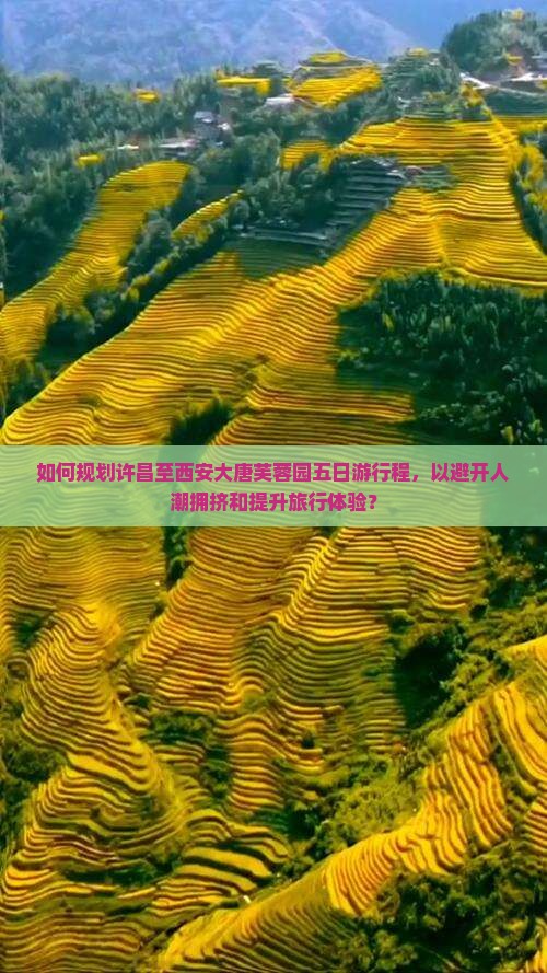 如何规划许昌至西安大唐芙蓉园五日游行程，以避开人潮拥挤和提升旅行体验？