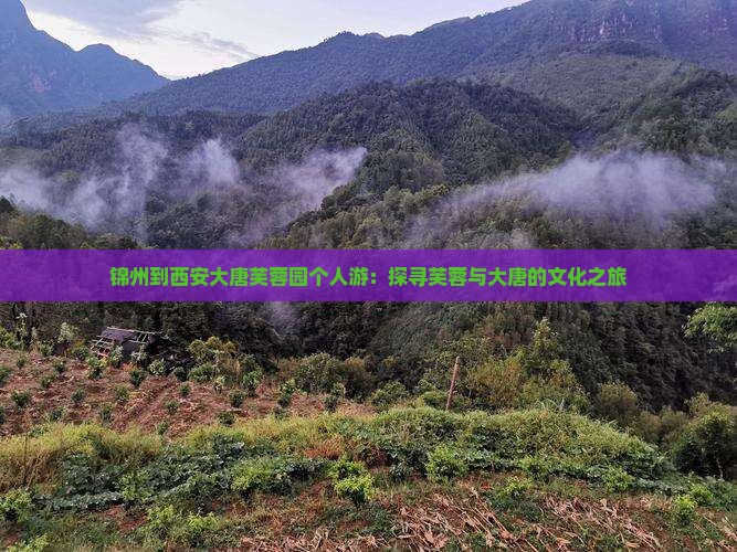 锦州到西安大唐芙蓉园个人游：探寻芙蓉与大唐的文化之旅