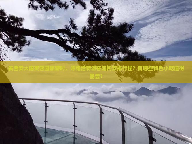 去西安大唐芙蓉园旅游时，呼和浩特游客如何安排行程？有哪些特色小吃值得品尝？
