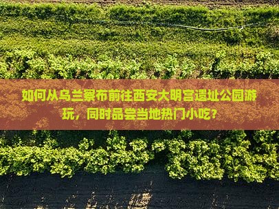 如何从乌兰察布前往西安大明宫遗址公园游玩，同时品尝当地热门小吃？