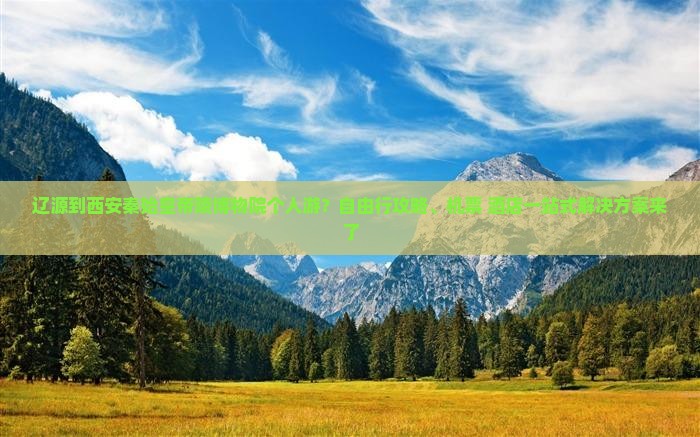 辽源到西安秦始皇帝陵博物院个人游？自由行攻略、机票+酒店一站式解决方案来了