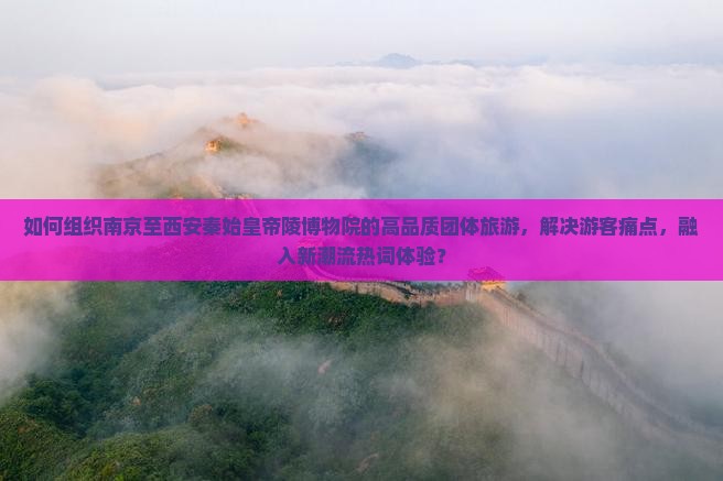 如何组织南京至西安秦始皇帝陵博物院的高品质团体旅游，解决游客痛点，融入新潮流热词体验？