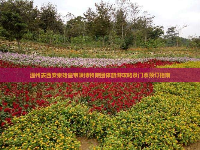 温州去西安秦始皇帝陵博物院团体旅游攻略及门票预订指南