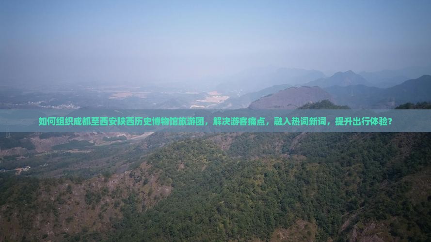 如何组织成都至西安陕西历史博物馆旅游团，解决游客痛点，融入热词新词，提升出行体验？