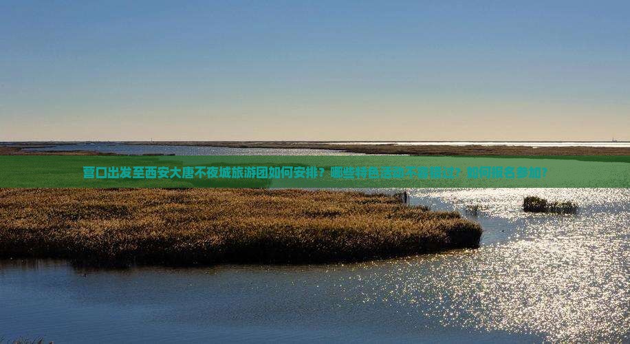 营口出发至西安大唐不夜城旅游团如何安排？哪些特色活动不容错过？如何报名参加？