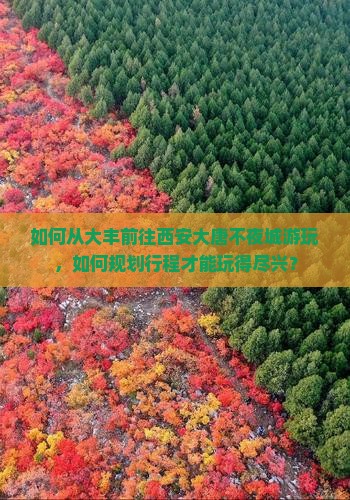 如何从大丰前往西安大唐不夜城游玩，如何规划行程才能玩得尽兴？