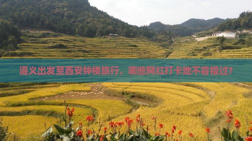 遵义出发至西安钟楼旅行，哪些网红打卡地不容错过？
