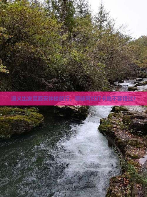 遵义出发至西安钟楼旅行，哪些网红打卡地不容错过？