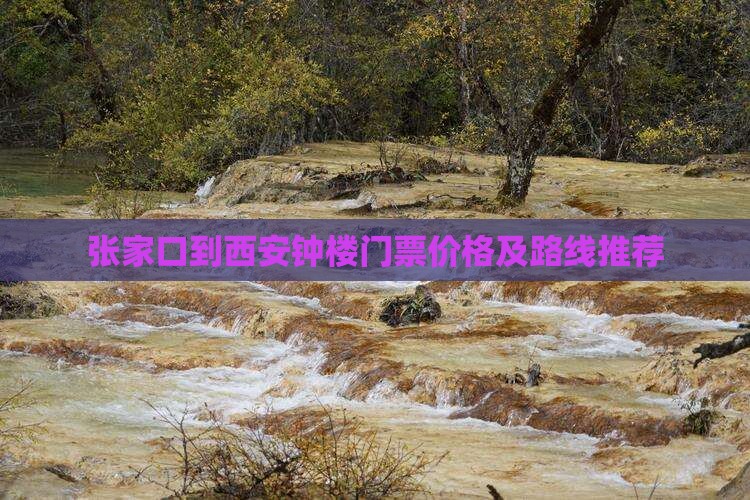 张家口到西安钟楼门票价格及路线推荐