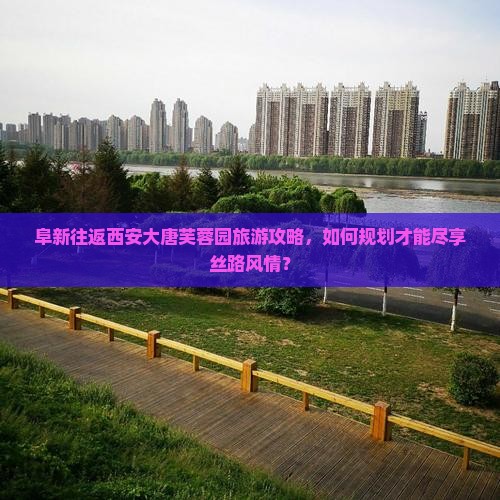 阜新往返西安大唐芙蓉园旅游攻略，如何规划才能尽享丝路风情？