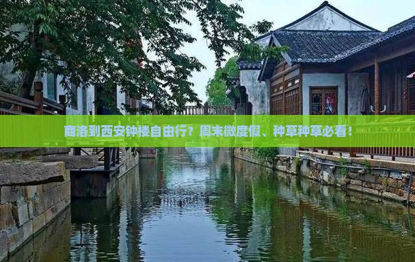 商洛到西安钟楼自由行？周末微度假、种草种草必看！
