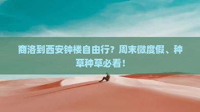 商洛到西安钟楼自由行？周末微度假、种草种草必看！