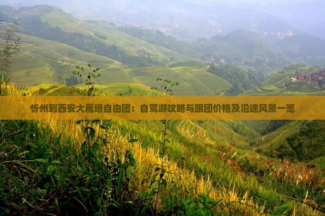 忻州到西安大雁塔自由团：自驾游攻略与跟团价格及沿途风景一览