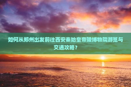 如何从郑州出发前往西安秦始皇帝陵博物院游览与交通攻略？