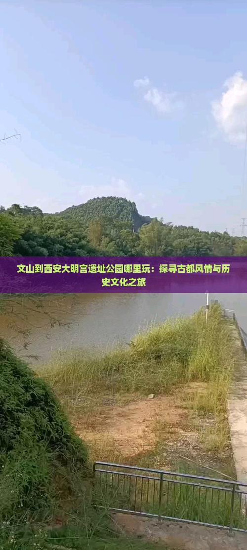 文山到西安大明宫遗址公园哪里玩：探寻古都风情与历史文化之旅