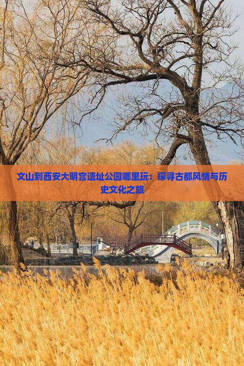 文山到西安大明宫遗址公园哪里玩：探寻古都风情与历史文化之旅