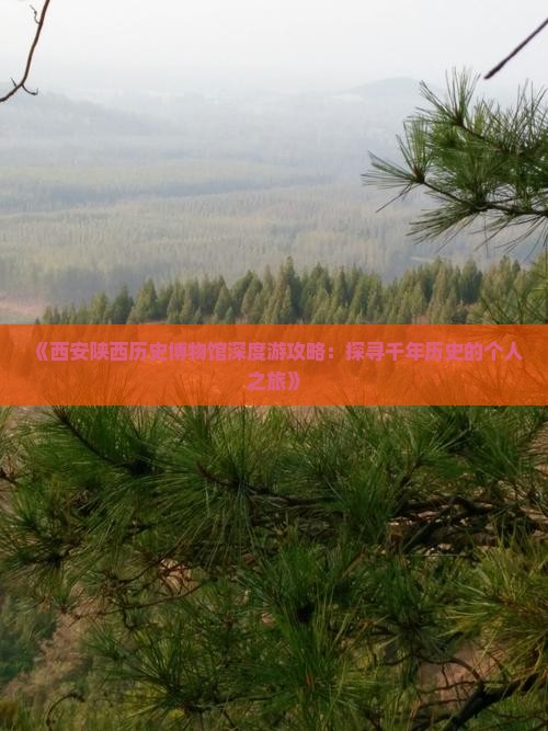 《西安陕西历史博物馆深度游攻略：探寻千年历史的个人之旅》