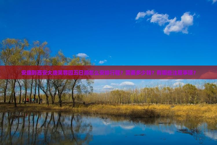 安康到西安大唐芙蓉园五日游怎么安排行程？需要多少钱？有哪些注意事项？