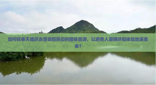 如何在春天组织去西安回民街的团体旅游，以避免人潮拥挤和体验地道美食？