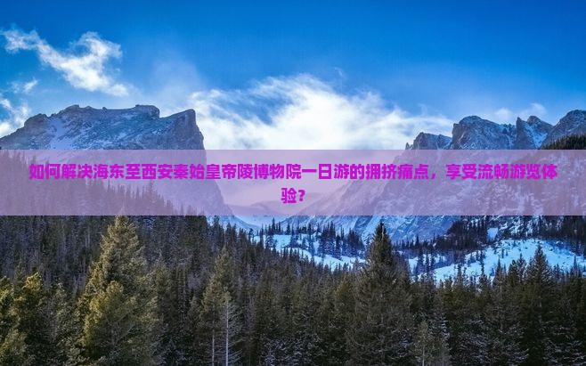 如何解决海东至西安秦始皇帝陵博物院一日游的拥挤痛点，享受流畅游览体验？