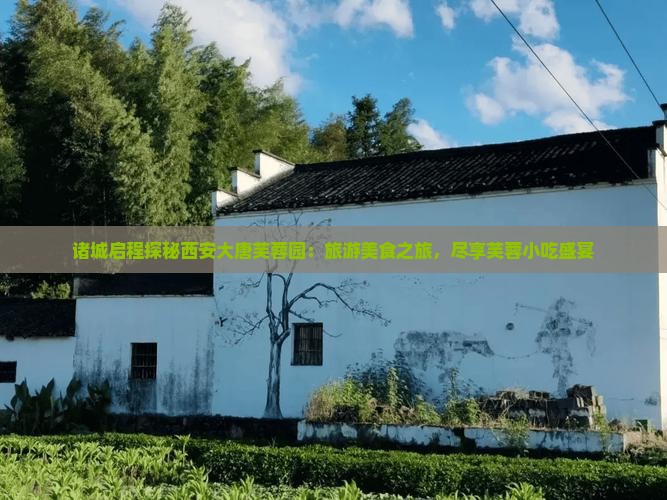 诸城启程探秘西安大唐芙蓉园：旅游美食之旅，尽享芙蓉小吃盛宴