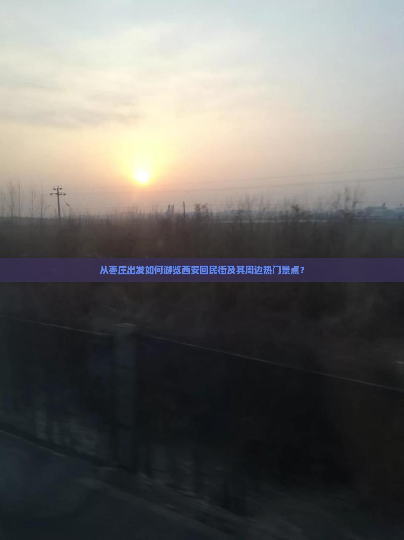 从枣庄出发如何游览西安回民街及其周边热门景点？