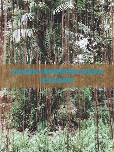 泸州去西安大唐芙蓉园旅游小吃攻略与特色美食推荐