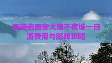 恩施去西安大唐不夜城一日游费用与路线攻略