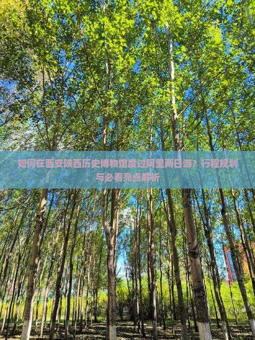 如何在西安陕西历史博物馆度过阿里两日游？行程规划与必看亮点解析