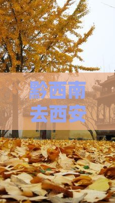 黔西南去西安钟楼个人游攻略