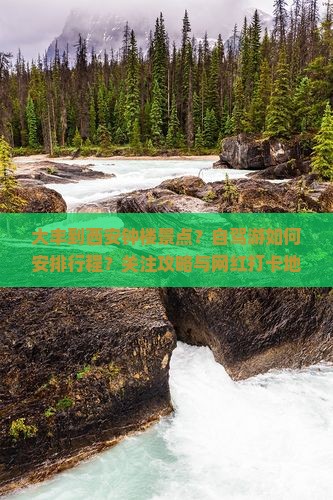 大丰到西安钟楼景点？自驾游如何安排行程？关注攻略与网红打卡地