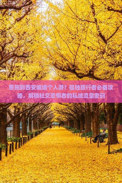 恩施到西安城墙个人游？孤独旅行者必备攻略，解锁社交恐惧者的私域流量密码