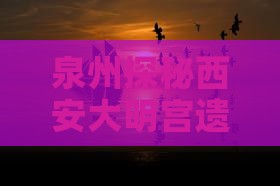 泉州探秘西安大明宫遗址自由行之旅