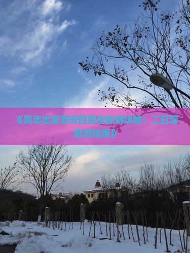 《吴忠出发西安回民街旅游攻略：二日深度游指南》