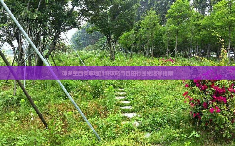 萍乡至西安城墙旅游攻略与自由行团组选择指南