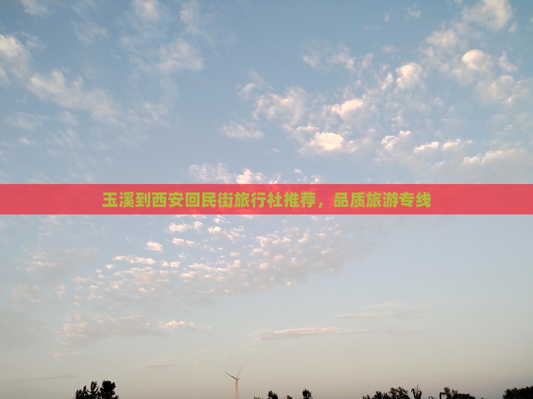 玉溪到西安回民街旅行社推荐，品质旅游专线