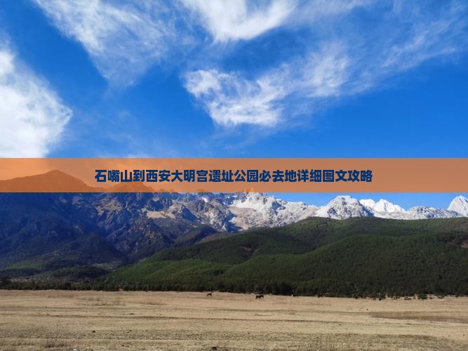石嘴山到西安大明宫遗址公园必去地详细图文攻略