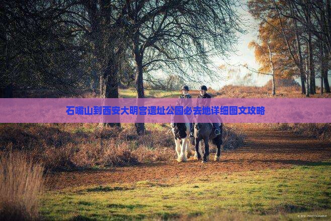 石嘴山到西安大明宫遗址公园必去地详细图文攻略