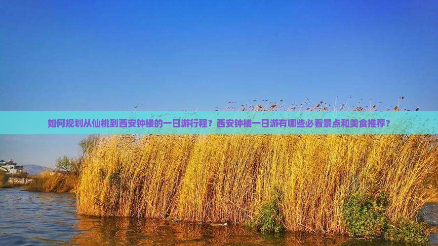 如何规划从仙桃到西安钟楼的一日游行程？西安钟楼一日游有哪些必看景点和美食推荐？
