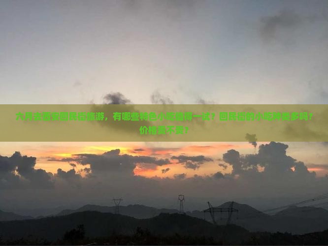 六月去西安回民街旅游，有哪些特色小吃值得一试？回民街的小吃种类多吗？价格贵不贵？