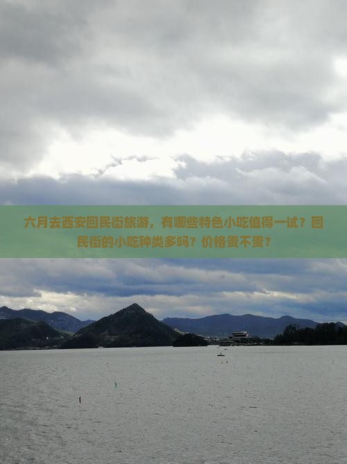 六月去西安回民街旅游，有哪些特色小吃值得一试？回民街的小吃种类多吗？价格贵不贵？