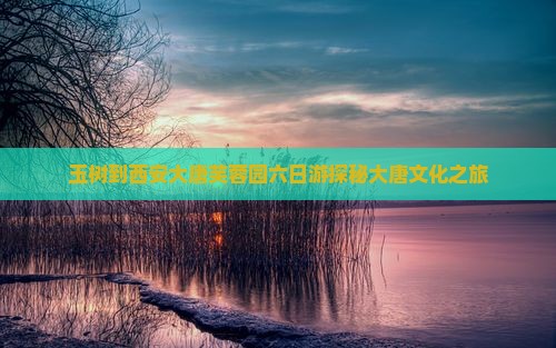 玉树到西安大唐芙蓉园六日游探秘大唐文化之旅