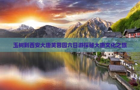 玉树到西安大唐芙蓉园六日游探秘大唐文化之旅