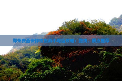 郑州去西安钟楼旅游小吃街攻略：路线、景点推荐