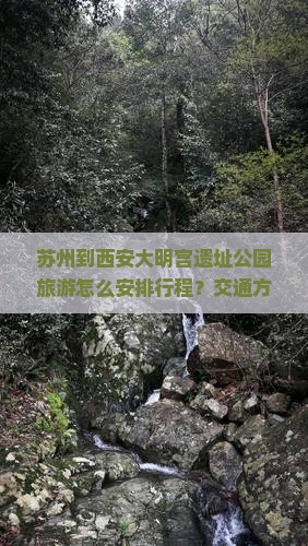 苏州到西安大明宫遗址公园旅游怎么安排行程？交通方式有哪些？门票价格是多少？
