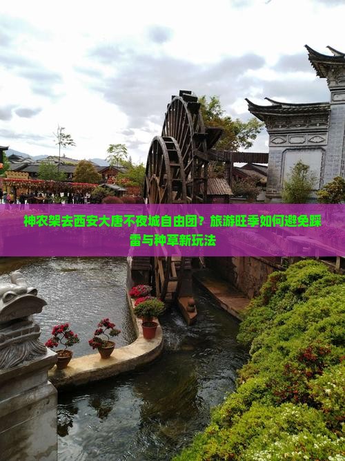 神农架去西安大唐不夜城自由团？旅游旺季如何避免踩雷与种草新玩法